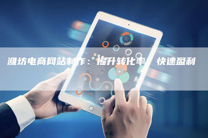 潍坊电商网站制作：提升转化率，快速盈利