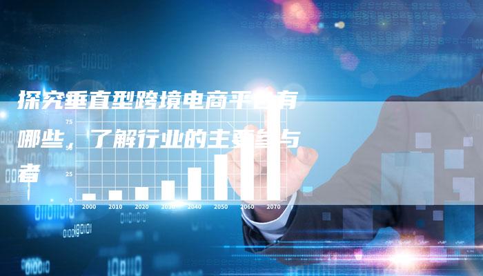 探究垂直型跨境电商平台有哪些，了解行业的主要参与者
