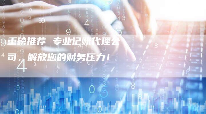 重磅推荐 专业记账代理公司，解放您的财务压力！