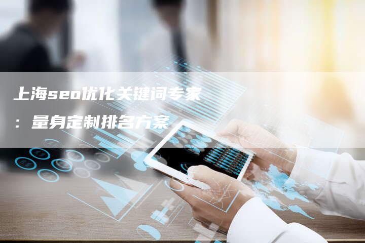 上海seo优化关键词专家：量身定制排名方案