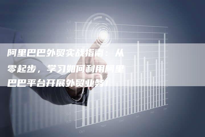 阿里巴巴外贸实战指南：从零起步，学习如何利用阿里巴巴平台开展外贸业务！