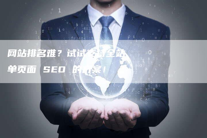 网站排名难？试试支持全站单页面 SEO 的方案！