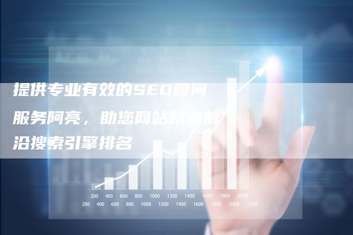 提供专业有效的SEO顾问服务阿亮，助您网站跻身前沿搜索引擎排名