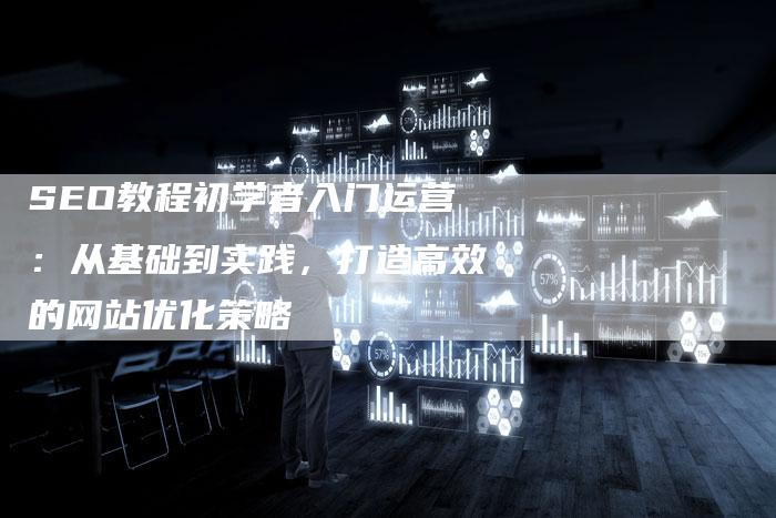 SEO教程初学者入门运营：从基础到实践，打造高效的网站优化策略