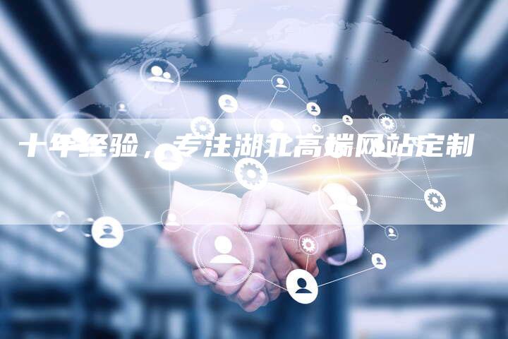 十年经验，专注湖北高端网站定制
