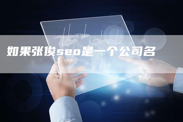 如果张俊seo是一个公司名