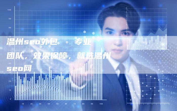 温州seo外包   专业团队，效果保障，就选温州seo网