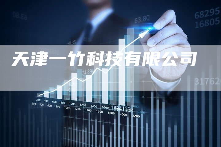 天津一竹科技有限公司
