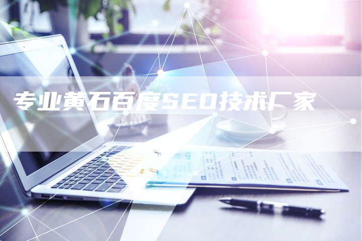 专业黄石百度SEO技术厂家