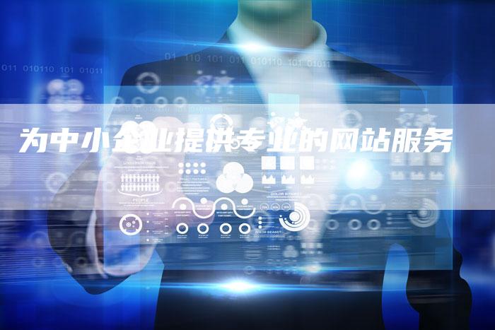 为中小企业提供专业的网站服务