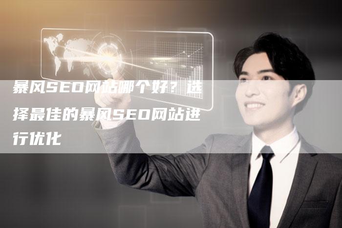 暴风SEO网站哪个好？选择最佳的暴风SEO网站进行优化