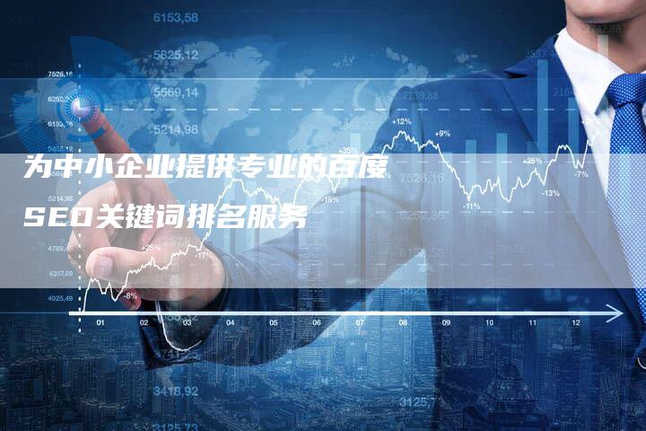 为中小企业提供专业的百度SEO关键词排名服务