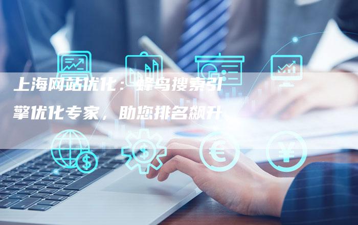 上海网站优化：蜂鸟搜索引擎优化专家，助您排名飙升