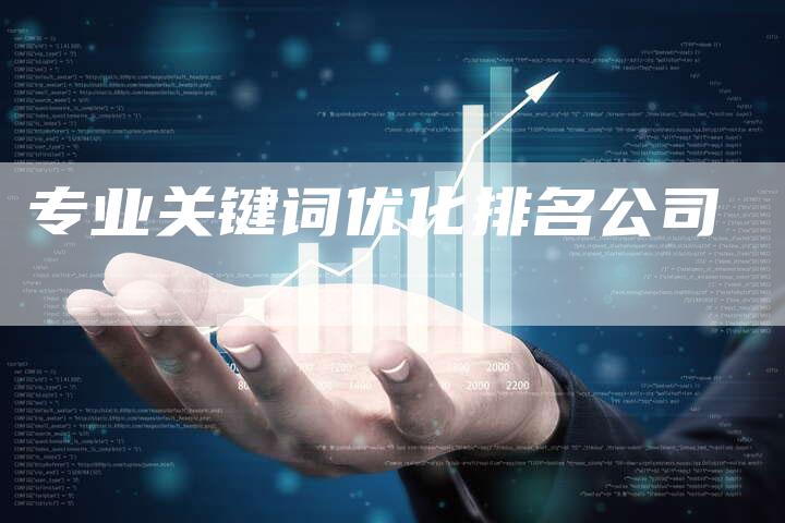 专业关键词优化排名公司
