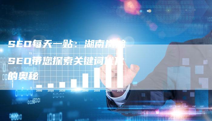 SEO每天一贴：湖南岚鸿SEO带您探索关键词优化的奥秘