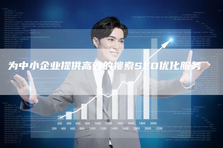 为中小企业提供高效的搜索SEO优化服务