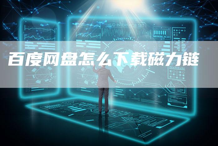 百度网盘怎么下载磁力链