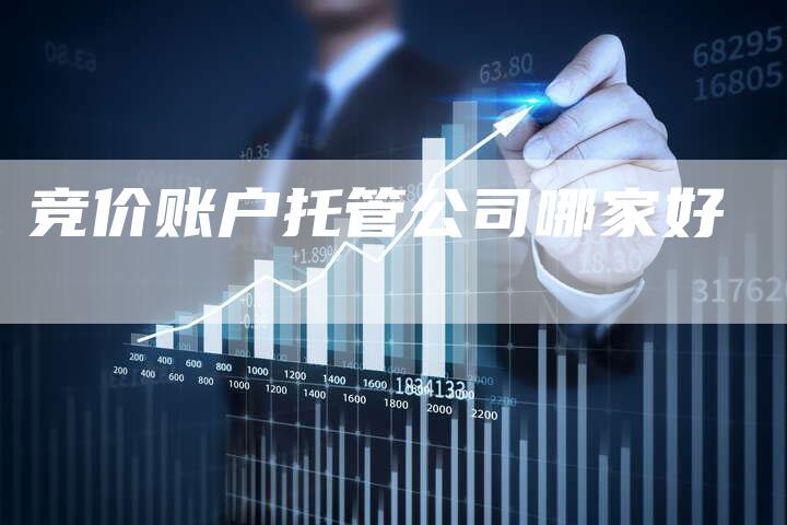竞价账户托管公司哪家好