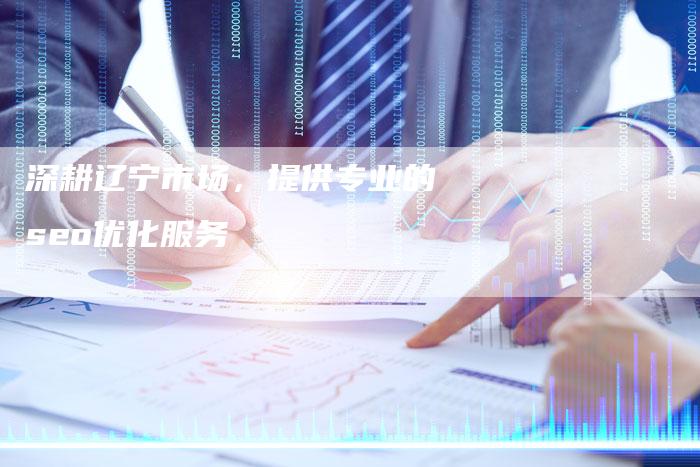 深耕辽宁市场，提供专业的seo优化服务