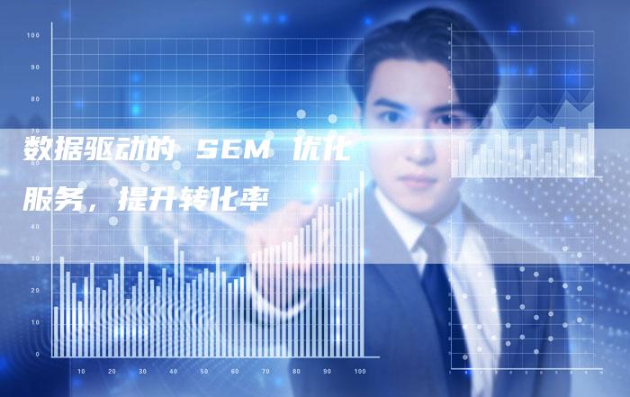 数据驱动的 SEM 优化服务，提升转化率