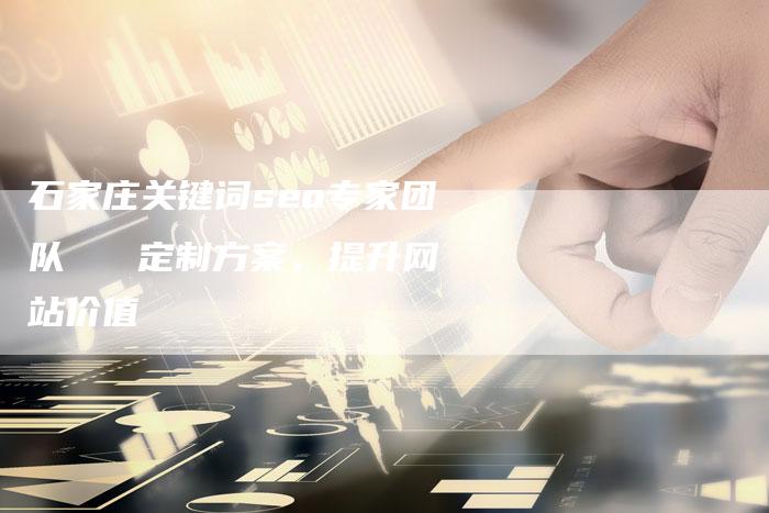 石家庄关键词seo专家团队   定制方案，提升网站价值