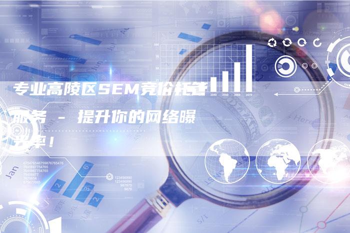 专业高陵区SEM竞价托管服务 - 提升你的网络曝光率！