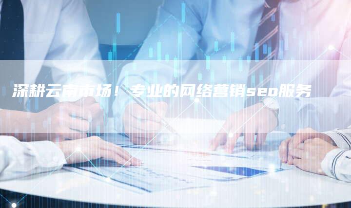 深耕云南市场！专业的网络营销seo服务