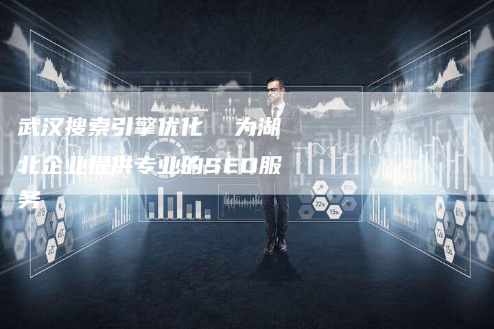 武汉搜索引擎优化  为湖北企业提供专业的SEO服务