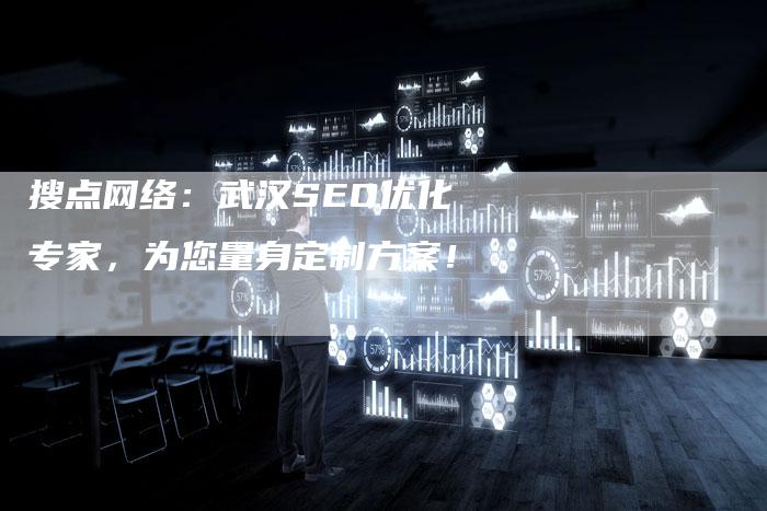 搜点网络：武汉SEO优化专家，为您量身定制方案！