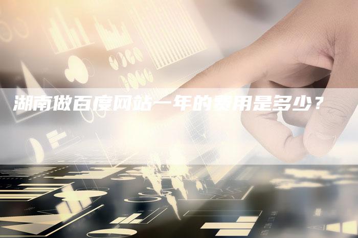 湖南做百度网站一年的费用是多少？