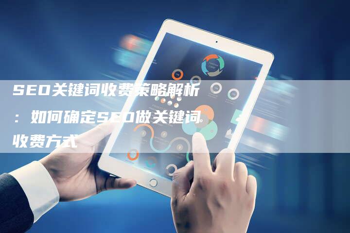 SEO关键词收费策略解析：如何确定SEO做关键词收费方式