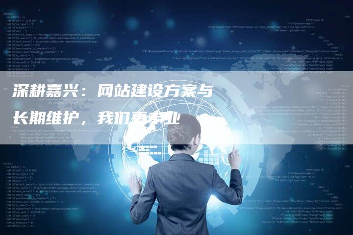 深耕嘉兴：网站建设方案与长期维护，我们更专业