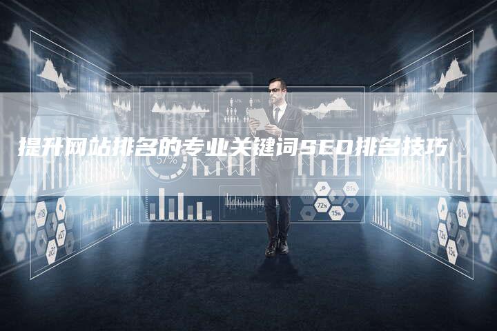 提升网站排名的专业关键词SEO排名技巧