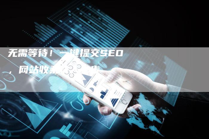 无需等待！一键提交SEO，网站收录快人一步