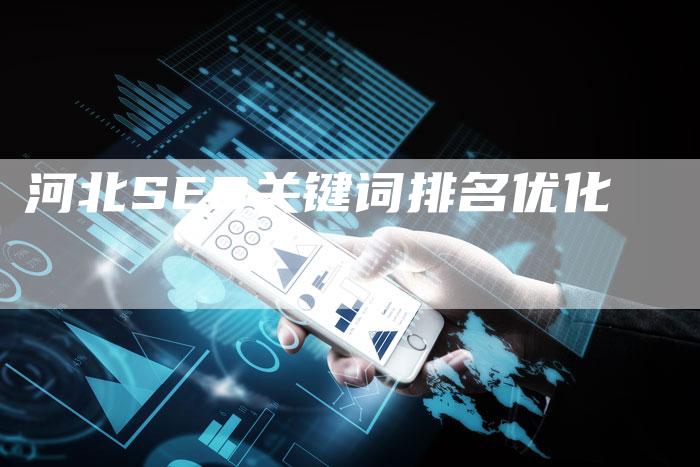 河北SEO关键词排名优化
