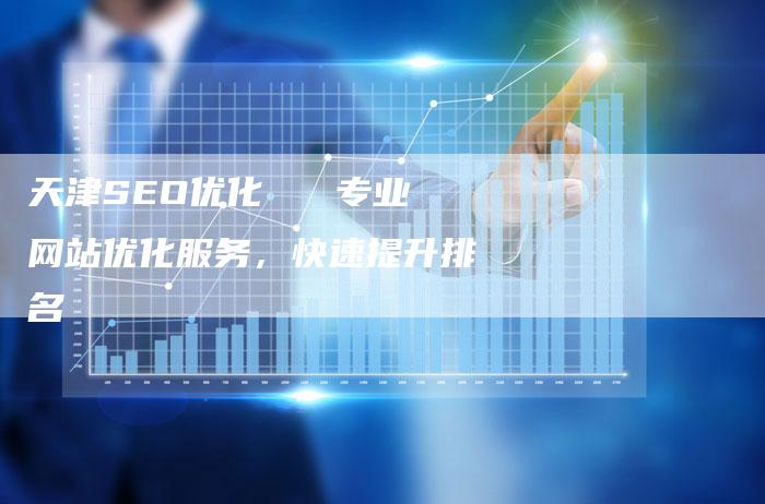 天津SEO优化   专业网站优化服务，快速提升排名