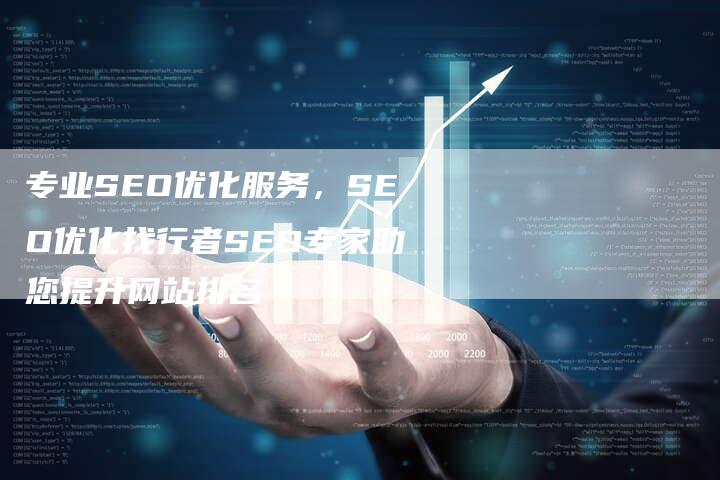 专业SEO优化服务，SEO优化找行者SEO专家助您提升网站排名