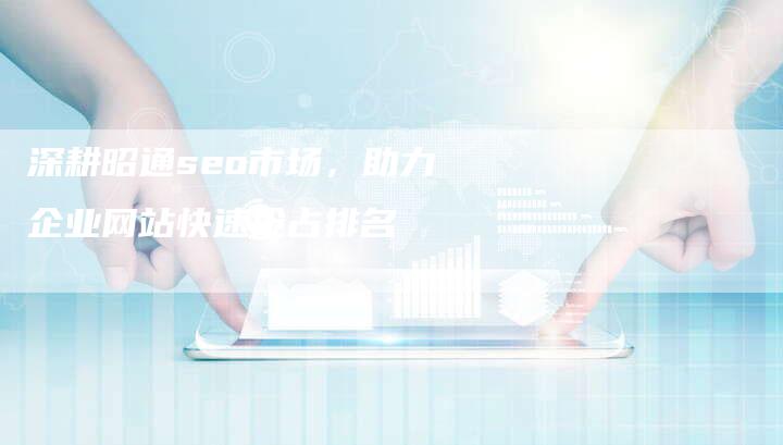 深耕昭通seo市场，助力企业网站快速抢占排名
