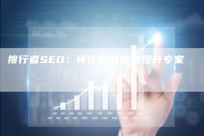 搜行者SEO：怀化网站排名提升专家