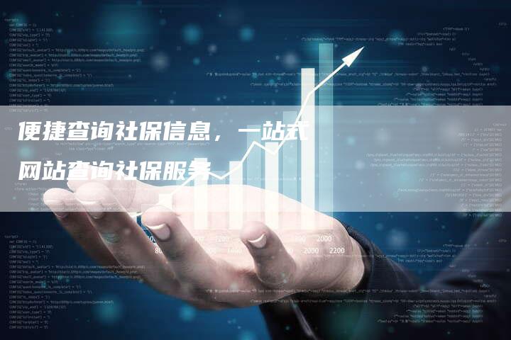 便捷查询社保信息，一站式网站查询社保服务
