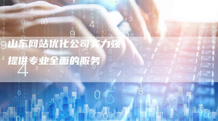 山东网站优化公司实力强，提供专业全面的服务