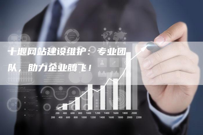 十堰网站建设维护：专业团队，助力企业腾飞！