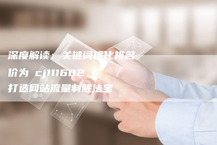 深度解读：关键词优化排名价为鈊cj111602，打造网站流量制胜法宝