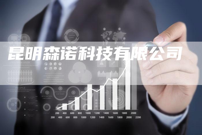昆明森诺科技有限公司