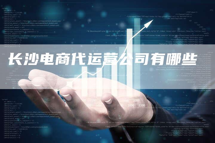 长沙电商代运营公司有哪些