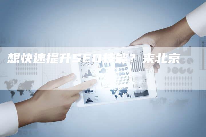 想快速提升SEO技能？来北京