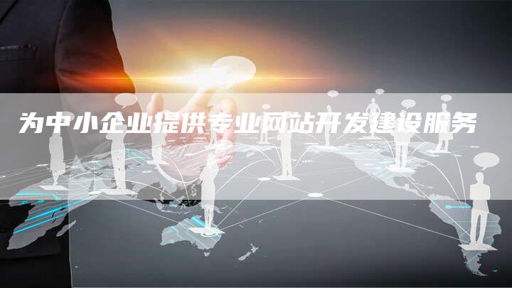 为中小企业提供专业网站开发建设服务