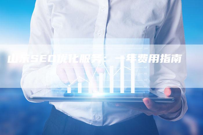 山东SEO优化服务：一年费用指南