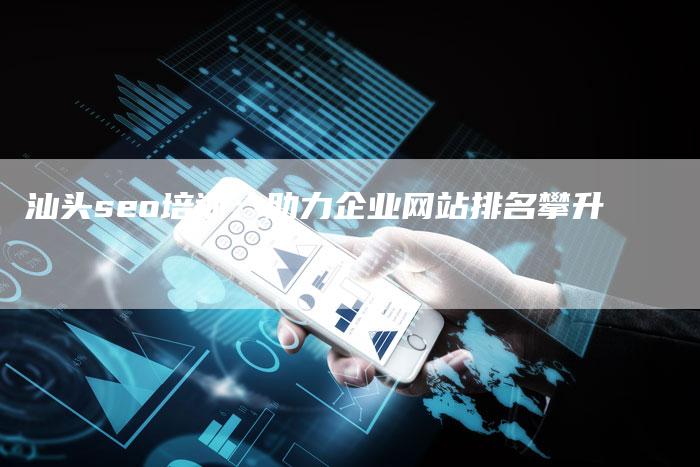 汕头seo培训：助力企业网站排名攀升