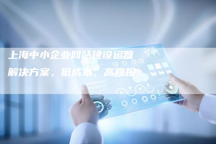上海中小企业网站建设运营解决方案，低成本，高回报